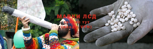 молекула духа Пестово