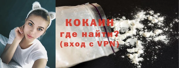 молекула духа Пестово