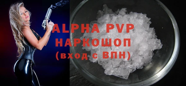 молекула духа Пестово
