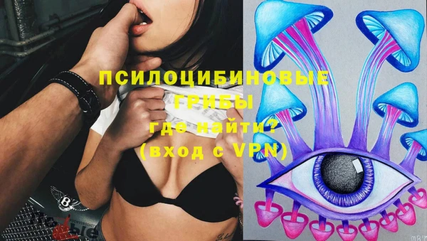 мескалин Переславль-Залесский