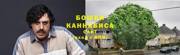 молекула духа Пестово