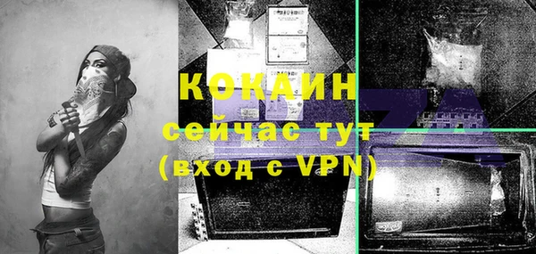 молекула духа Пестово