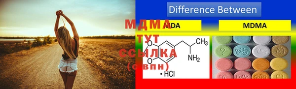 молекула духа Пестово