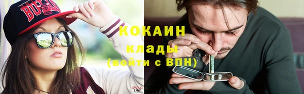 молекула духа Пестово