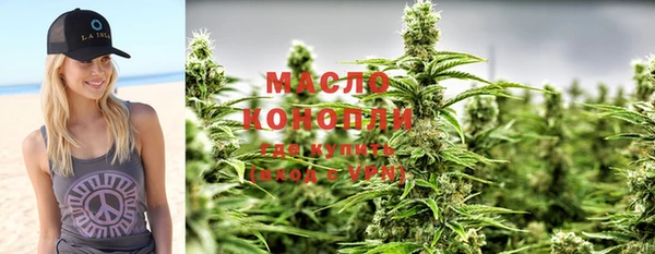 молекула духа Пестово