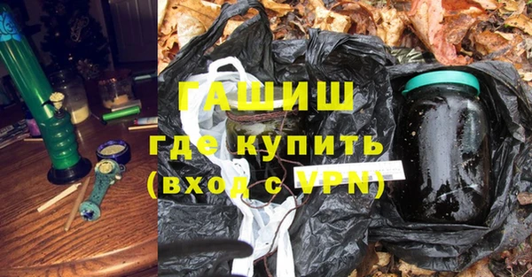 молекула духа Пестово