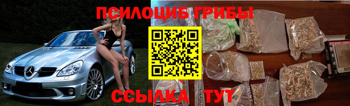 Псилоцибиновые грибы прущие грибы  Алапаевск 