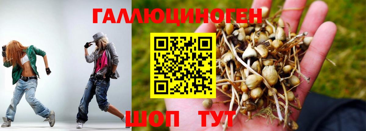 Галлюциногенные грибы Magic Shrooms  Псилоцибиновые грибы мицелий  Алапаевск  Вход с VPN 