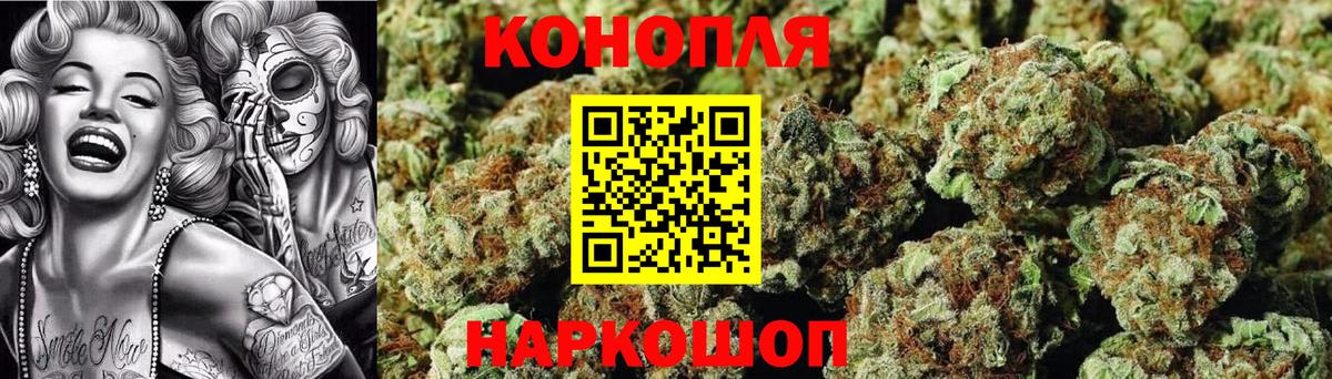 Конопля план  Вход с VPN  Алапаевск  Каннабис семена  Каннабис индика 